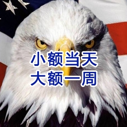 丰县要账公司